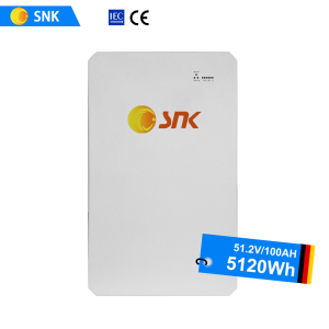 5kwh (10)
